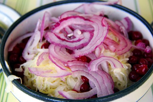 salad with sauerkraut, red onion, cranberry