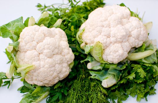 Freshly cut  cauliflower cabbage , parsley , dill  isolated on white .