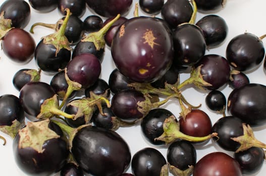 Group of small eggplants .Isolated over white.