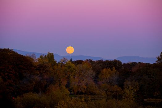 Suring autumn this harvest moon rise over fall leaves color and trees is photographed from far away to show the color and sky along with the landscape.