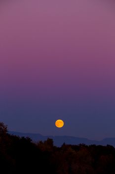 Suring autumn this harvest moon rise over fall leaves color and trees is photographed from far away to show the color and sky along with the landscape.