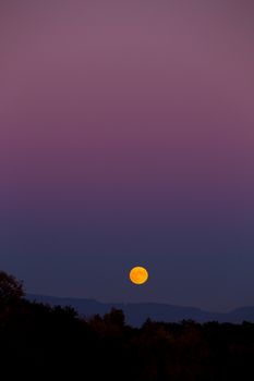 Suring autumn this harvest moon rise over fall leaves color and trees is photographed from far away to show the color and sky along with the landscape.