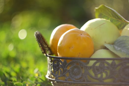 natural fruits in basket with leaf in garden