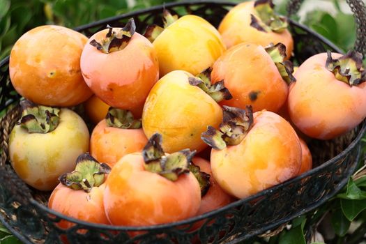 natural fruits in basket with leaf in garden