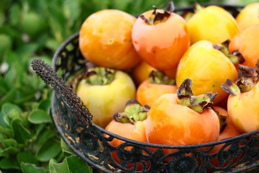 natural fruits in basket with leaf in garden