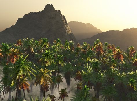 palms in fog and mountains