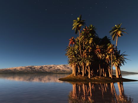 palm island at night