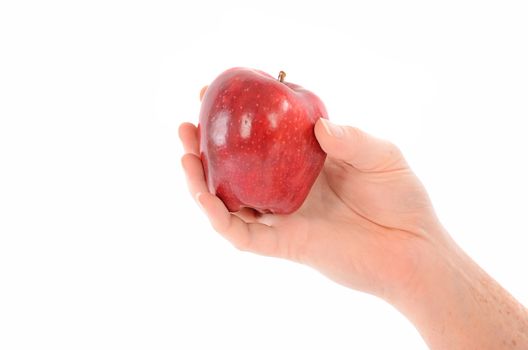 A Hand Holding a Red Apple on White - Health and Diet Theme