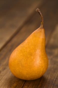 Ripe Bosc pear on dark wood (Selective Focus, Focus on the front of the pear)