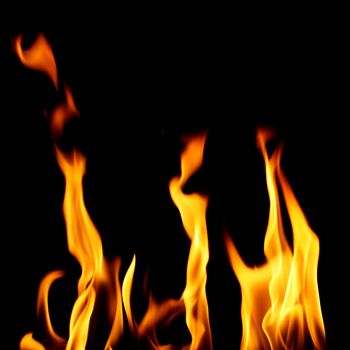 inferno flame fire on black background close up