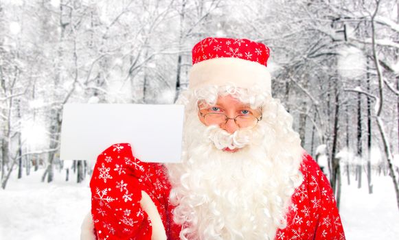 Santa Claus showing Blank Tag in the Winter Forest