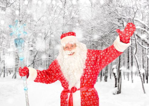 Happy Santa Claus with Christmas Staff in the Winter Forest