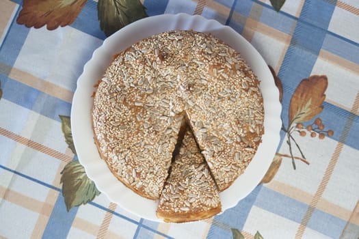 Apricot pie on plate. High resolution