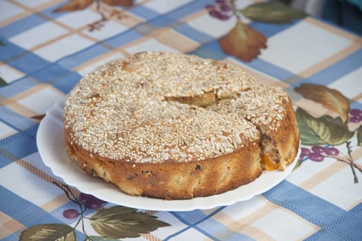 Apricot pie on plate. High resolution