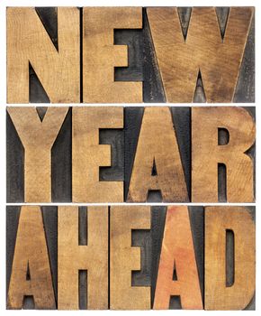new year ahead - isolated text abstract - letterpress wood type printing blocks scaled to a rectangle