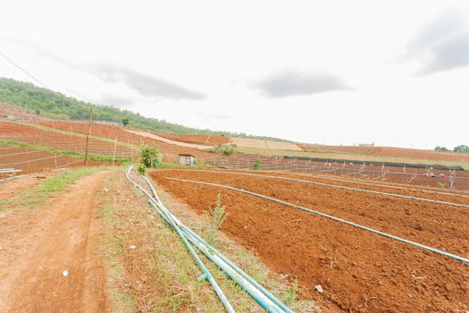 Orenge soil of an agricultural field