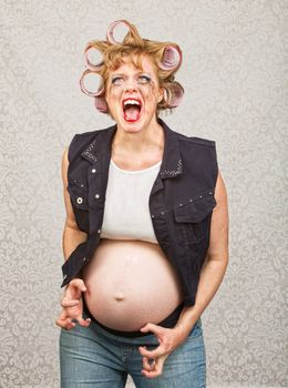 Outraged pregnant female in curlers and makeup