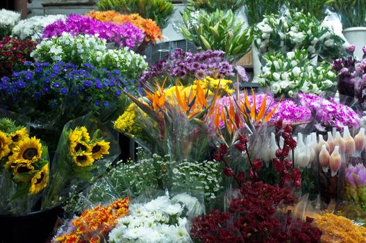 Buckets of flowers for sale in a market in summer .