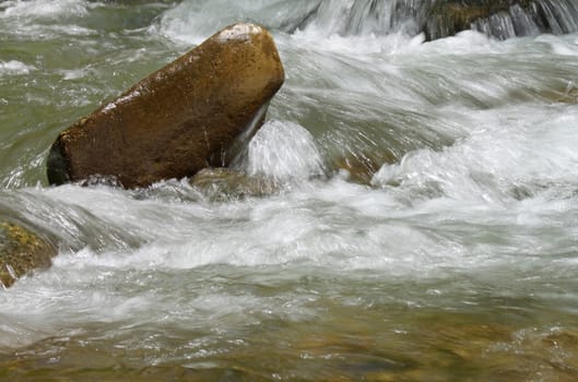 rapids in small river in Carpathian mountains
