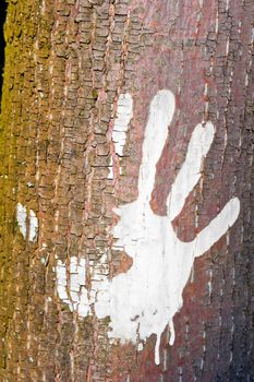 Human handprint on the bark of a tree.