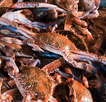 Fresh crab on ice at a seafood market.