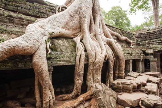 Preah Khan temple, Siem Reap, Cambodia