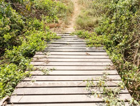 Old wooden bridge