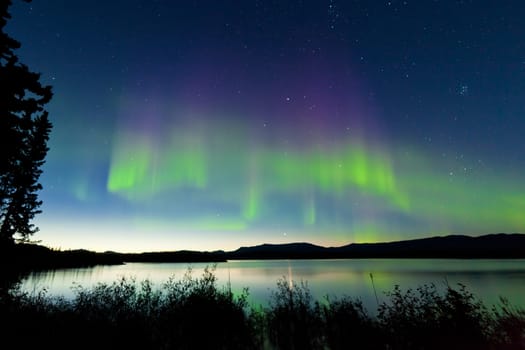 Dancing Northern lights Aurora borealis in summer over northern horizon of Lake Laberge Yukon Territory Canada at early dawn