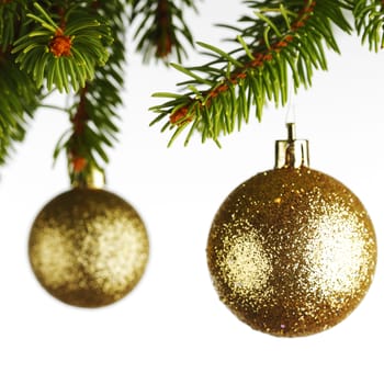 Golden christmas decoration on fir branch isolated on white background