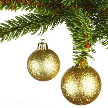 Golden christmas decoration on fir branch isolated on white background