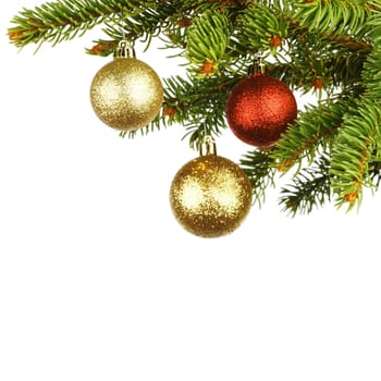 Christmas decoration on fir branch  isolated on white background