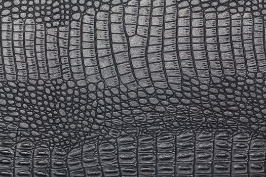 black crocodile skin texture