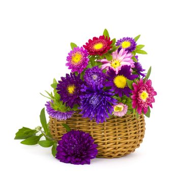 Bouquet of colorful asters flowers in a basket on white background