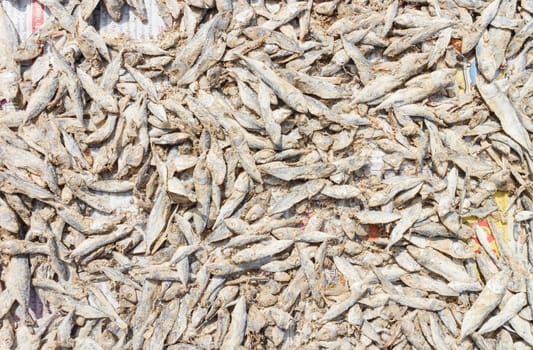 dried fishes for sale