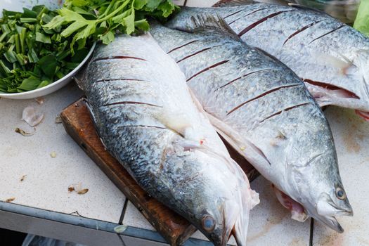 Raw seabass with herbs