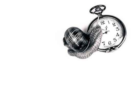 Black and white photo of a snail climbing the clock