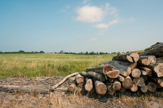 Countryside landscape with a pile of wood