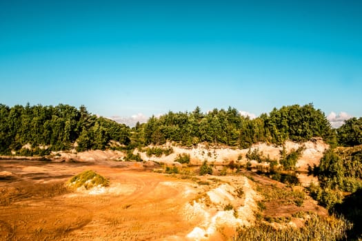 Canyon surrounded by forest with blue sky