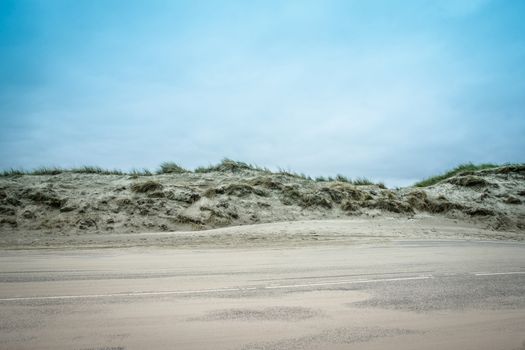 Sandy road surrounded by dunes and reed