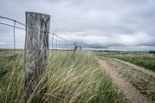 Nature path surrounded by grass and a fence