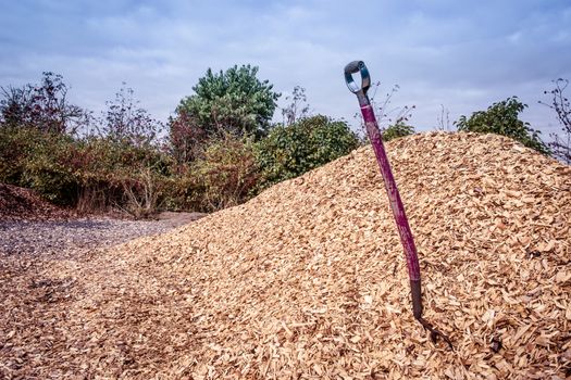 Purple shovel in a big pile of mulch