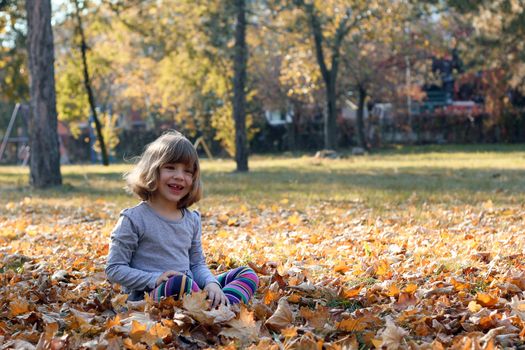 happy beautiful little girl in autumn park