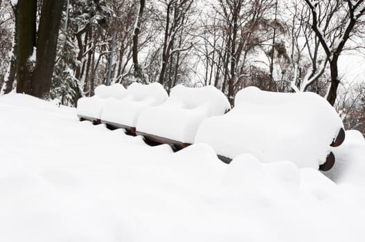 Wooden benches full of snow in winter park