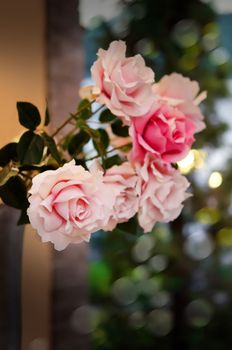 pink plastic roses with green leaves for decor