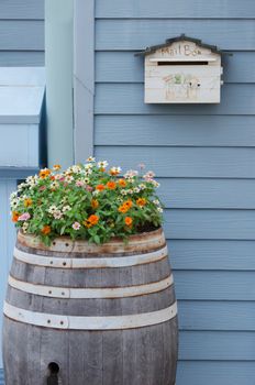 colorful flower with leaves in wooden barrel and mailbox on wall