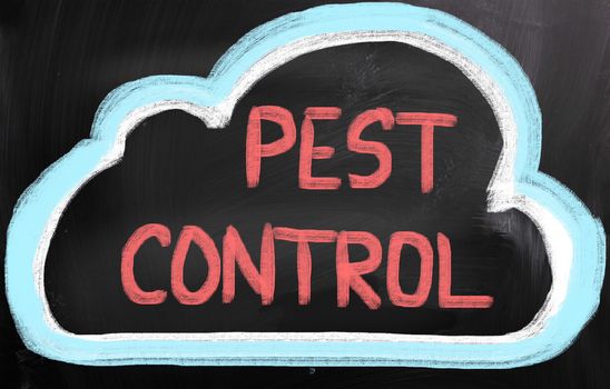 Pest Control Concept
