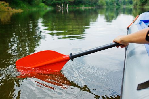 Red paddles for white water rafting and kayaking