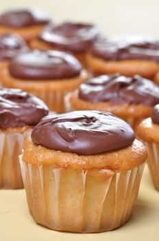 Closeup of focused delicious cupcake with chocolate frosting in row with more cupcakes