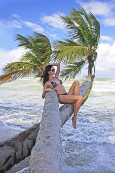 Young woman in bikini sitting on palm trees, Bonita beach, Dominican Republic