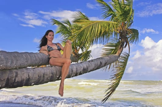 Young woman in bikini sitting on palm trees, Bonita beach, Dominican Republic